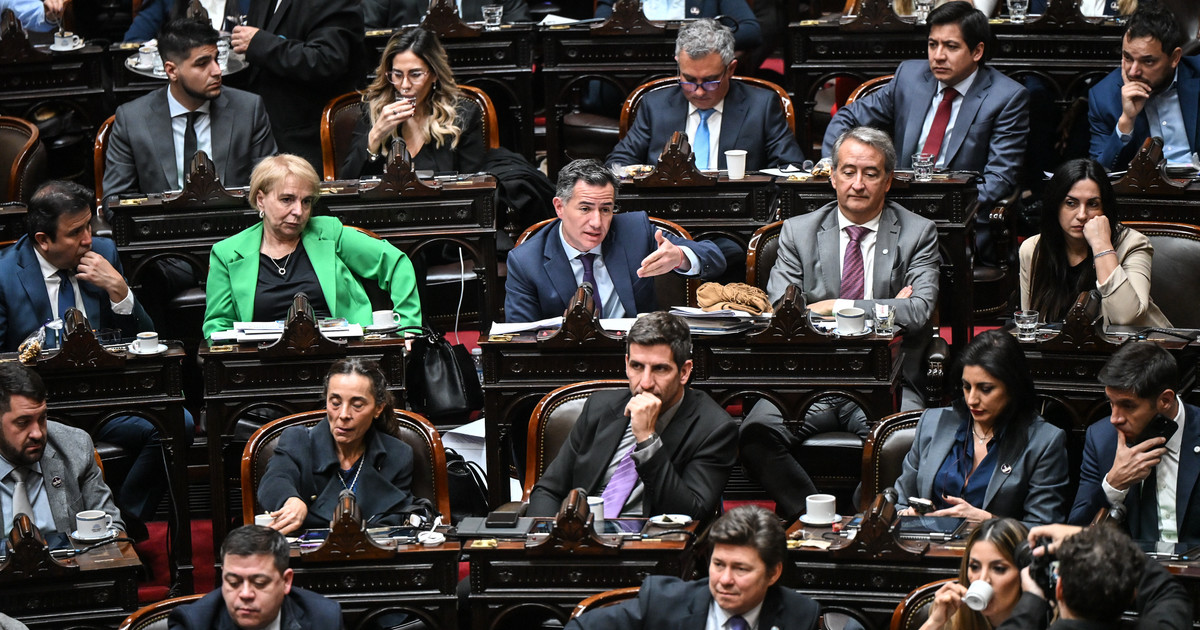 endeudamiento-y-discapacidad:-en-la-pulseada-con-la-oposicion,-lla-impulsara-proyectos-propios-en-diputados