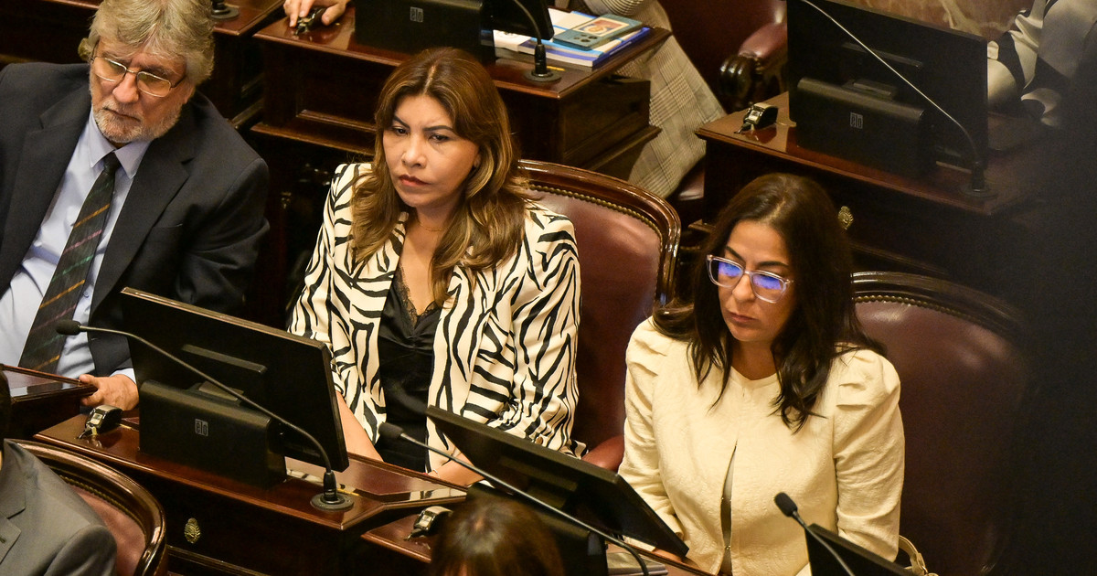 en-medio-de-las-criticas-al-proyecto-oficial,-el-senado-debate-la-creacion-de-una-comision-por-malvinas