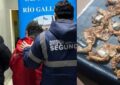Once empanadas: fue con su hijo de 5 años a la cárcel e intentó pasar droga escondida en la comida