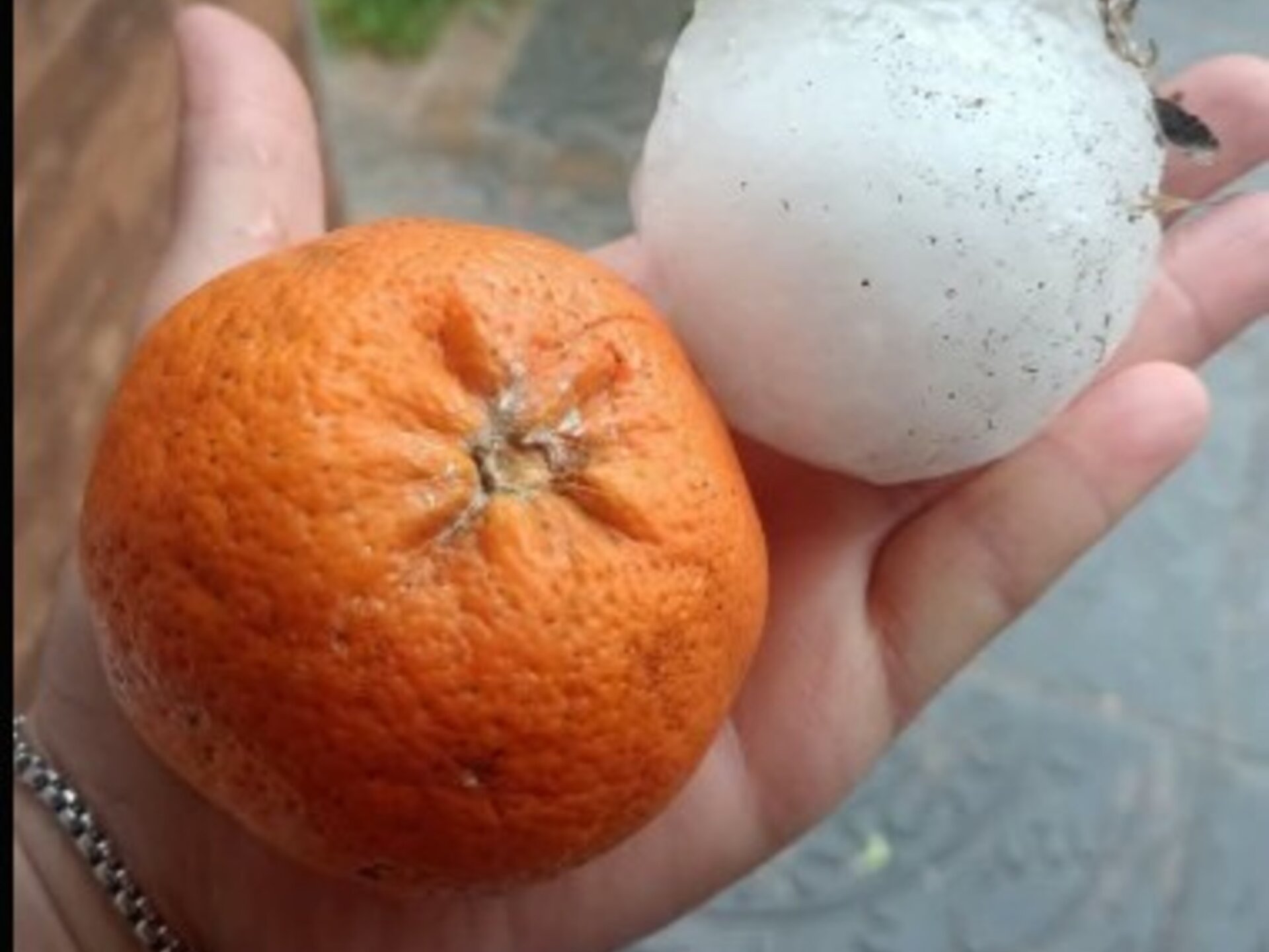 Impresionante tormenta de granizo en Córdoba con piedras del tamaño de una mandarina: hubo destrozos en Unquillo y Mendiolaza