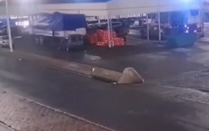 Tragedia en el Mercado Central: una joven de 26 años murió aplastada por un acoplado que se desenganchó