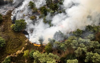 Los gases de efecto invernadero marcaron un nuevo récord y la ONU advierte por el impacto de El Niño