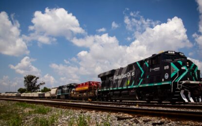 Privatización del Belgrano Cargas: el Grupo México se bajó de la licitación