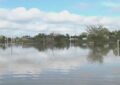 El Niño golpea el Litoral: crecidas del Paraná y el Uruguay dejan evacuados en Entre Ríos y Corrientes
