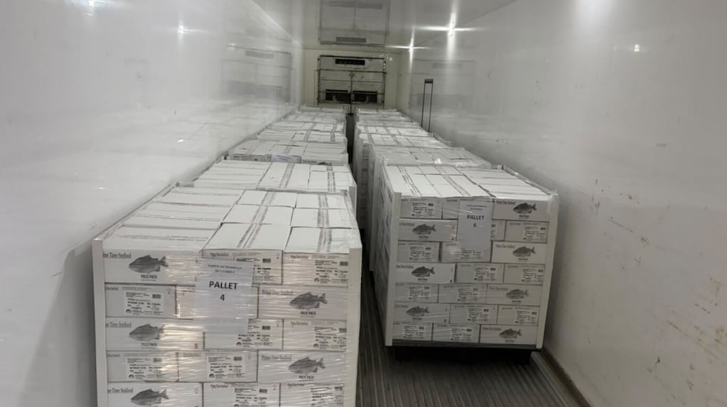 Argentina afianza la exportación de pacú chaqueño desde la provincia de Chaco hacia los Estados Unidos